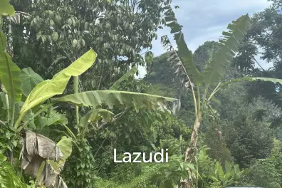 Prime 400 sqm Freehold Land in Ao Nang Krabi