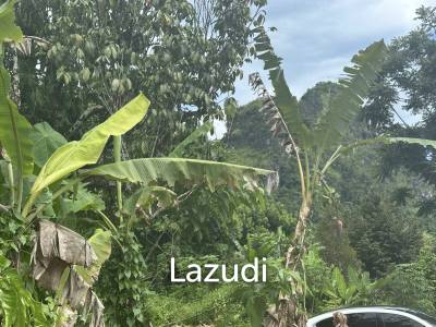 Prime 400 sqm Freehold Land in Ao Nang Krabi