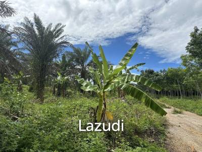 Prime 400 sqm Freehold Land in Ao Nang Krabi