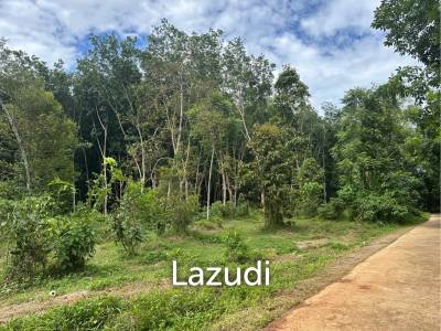 Very Affordable 230 sqm Plots in Nong Thale Krabi