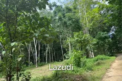 Very Affordable 230 sqm Plots in Nong Thale Krabi