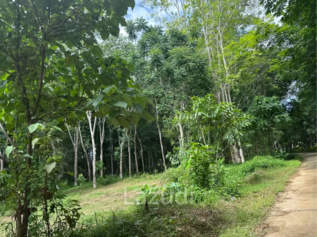Very Affordable 230 sqm Plots in Nong Thale Krabi