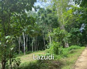 Very Affordable 230 sqm Plots in Nong Thale Krabi