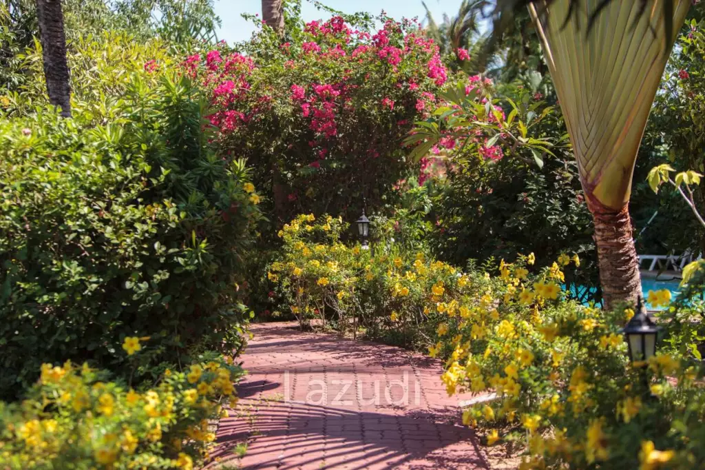 Beachside 3-Bed Villa – Just 30 Meters from Beautiful Bang Por Beach