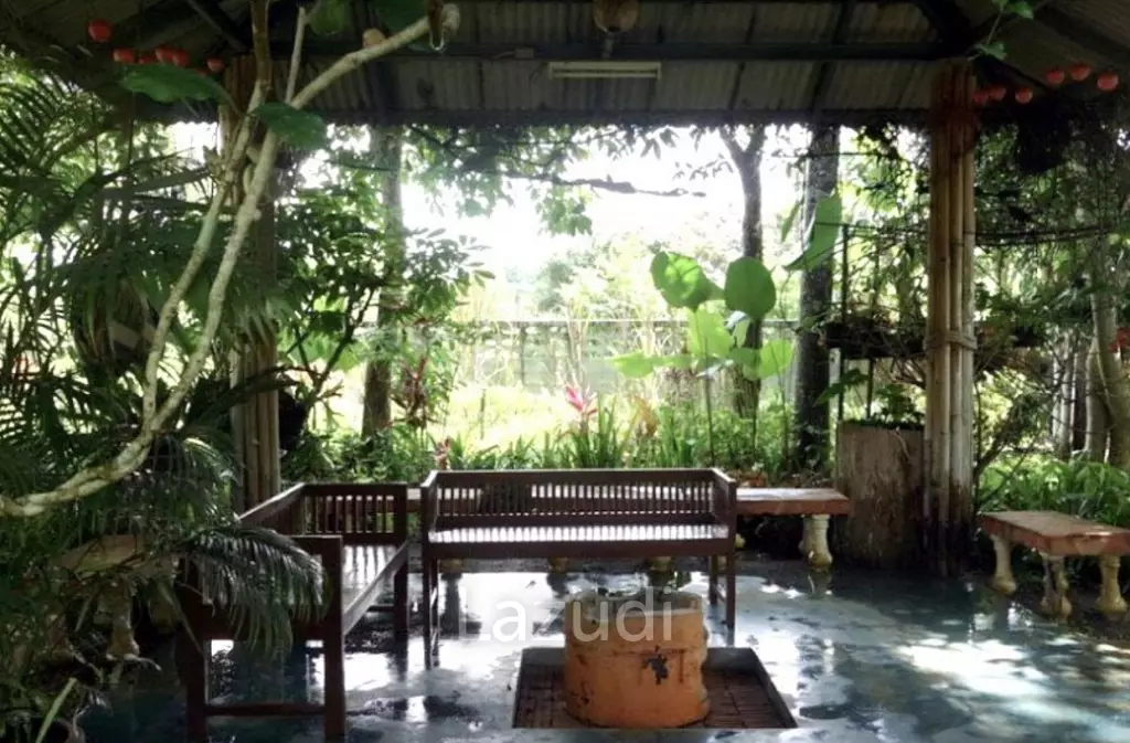 Beautiful 3 Bedroom Home with relaxing garden for sale