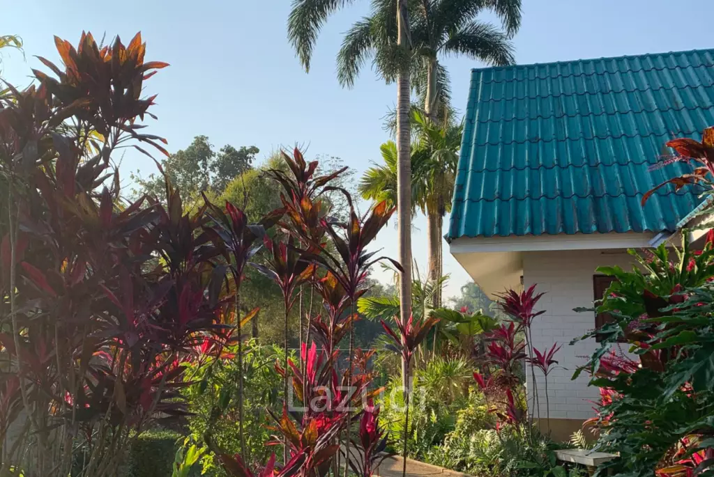 Beautiful 3 Bedroom Home with relaxing garden for sale
