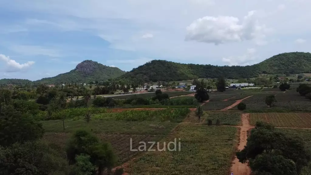 Investment Opportunity: Prime 11-3-32 Rai Land in Wang Phong