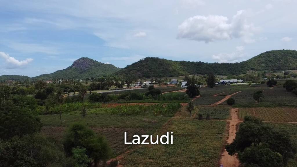 Investment Opportunity: Prime 11-3-32 Rai Land in Wang Phong