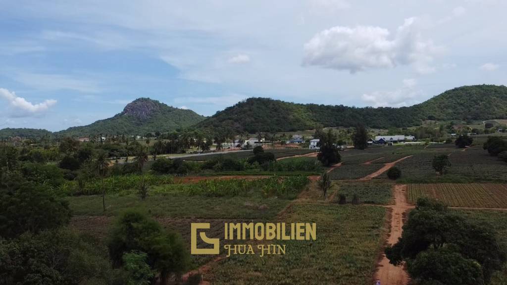 ขายที่ดินฟรีโฮลด์ 11-3-32 ไร่ วิวเขา ในวังก์พง ปราณบุรี