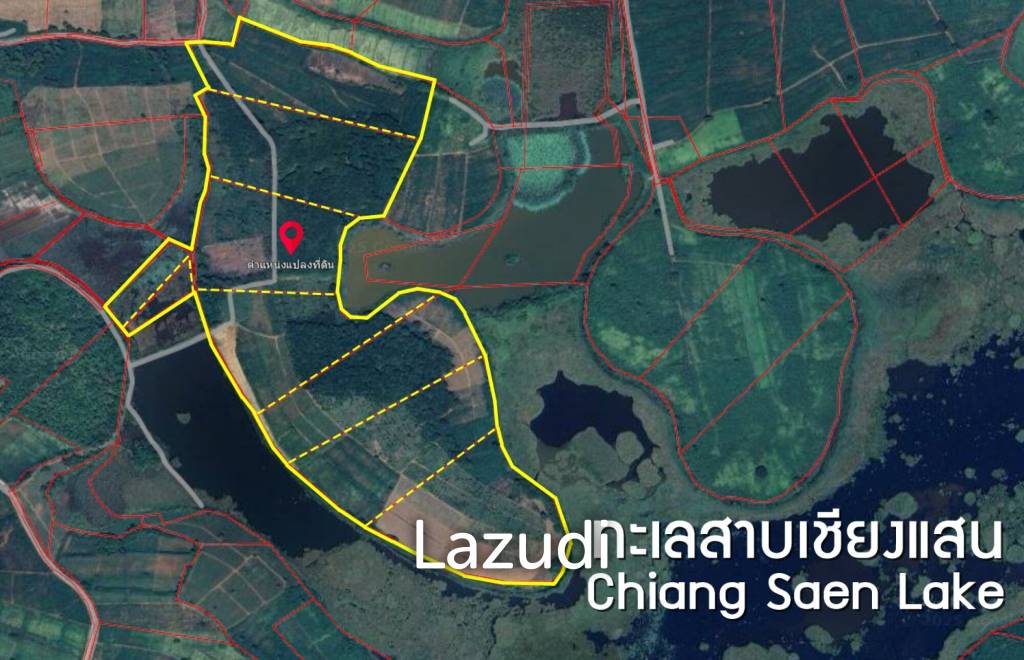 268 Rai Land For Sale Close to Chiang Saen Lake