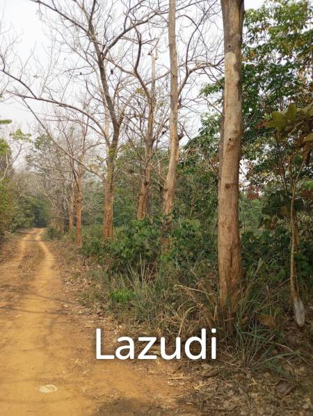 268 Rai Land For Sale Close to Chiang Saen Lake