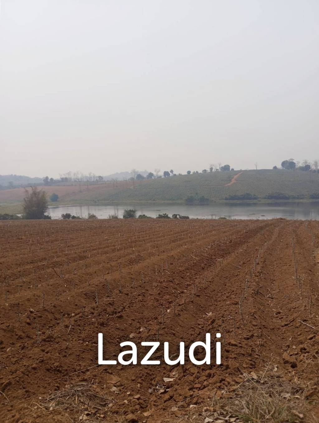 268 Rai Land For Sale Close to Chiang Saen Lake