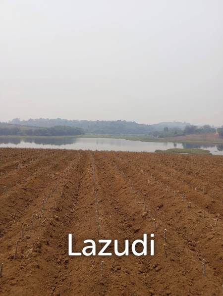 268 Rai Land For Sale Close to Chiang Saen Lake