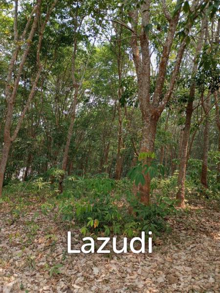 268 Rai Land For Sale Close to Chiang Saen Lake