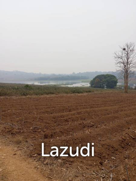 268 Rai Land For Sale Close to Chiang Saen Lake