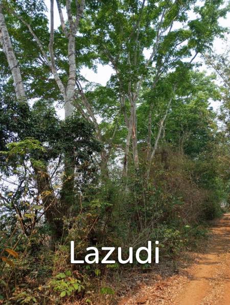 268 Rai Land For Sale Close to Chiang Saen Lake