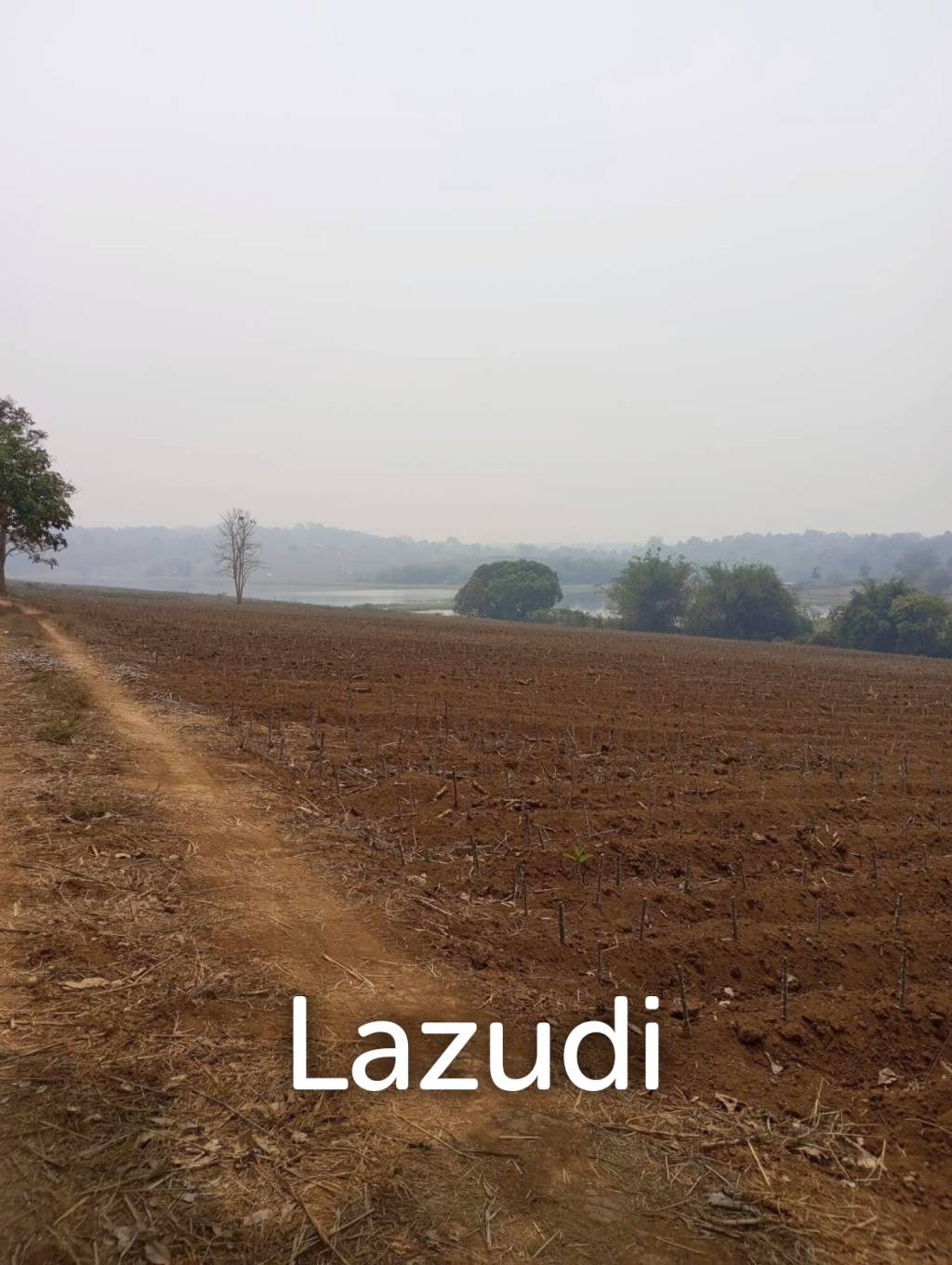 268 Rai Land For Sale Close to Chiang Saen Lake