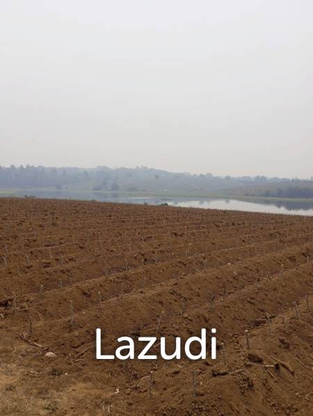 268 Rai Land For Sale Close to Chiang Saen Lake