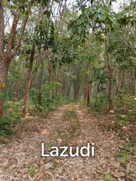 268 Rai Land For Sale Close to Chiang Saen Lake