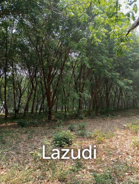 268 Rai Land For Sale Close to Chiang Saen Lake