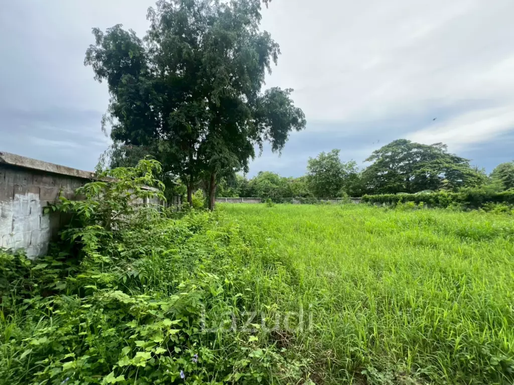 Land For Sale in Soi Hua Hin 5/3 - 230 SqWa