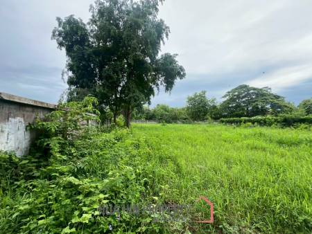 Land For Sale in Soi Hua Hin 5/3 - 230 SqWa