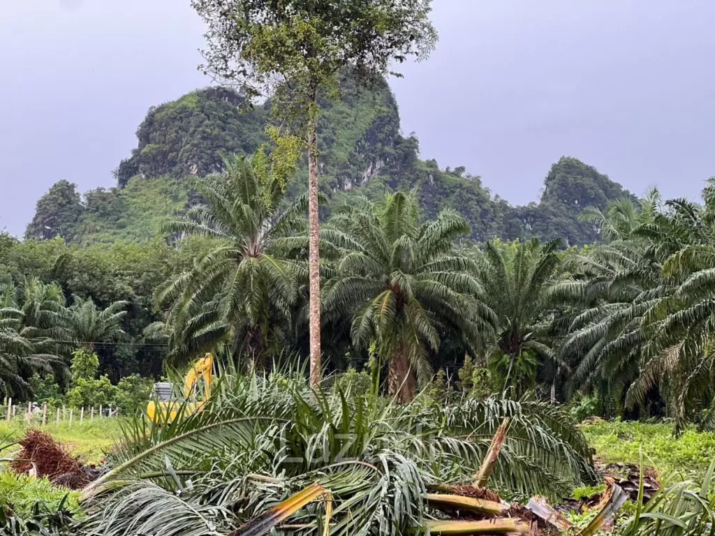 Secluded Freehold Land with Mountain Views in Krabi