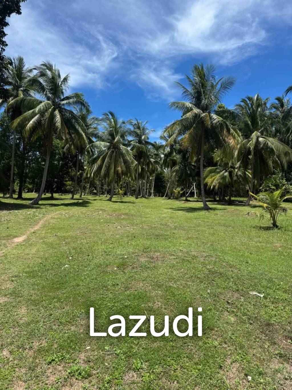 800-1600 SQM Beautiful Flat Land for Sale – Lush Green Area Between Ban Nai Suan  Bantai, Koh Phangan