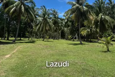800-1600 SQM Beautiful Flat Land for Sale – Lush Green Area Between Ban Nai Suan  Bantai, Koh Phangan