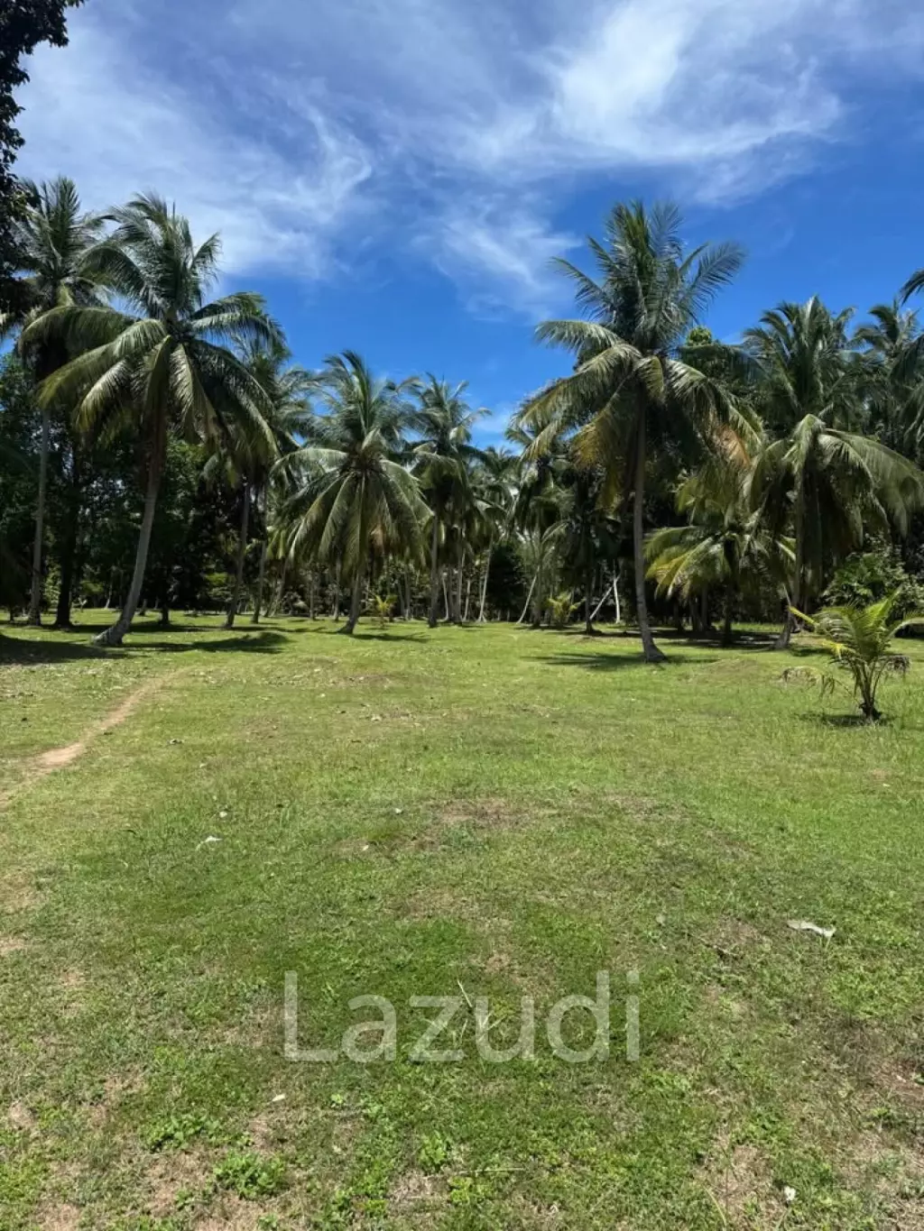 800-1600 SQM Beautiful Flat Land for Sale – Lush Green Area Between Ban Nai Suan  Bantai, Koh Phangan