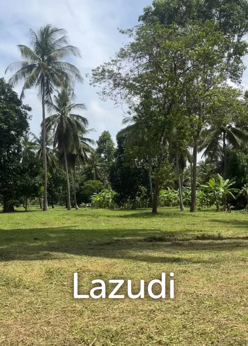 800-1600 SQM Beautiful Flat Land for Sale – Lush Green Area Between Ban Nai Suan  Bantai, Koh Phangan