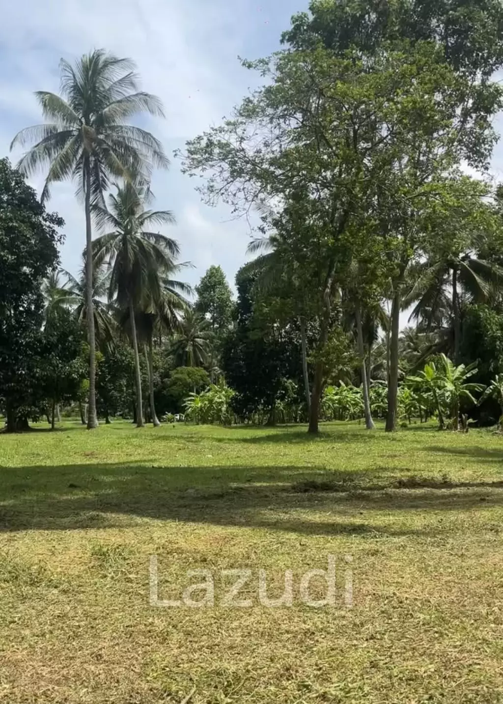 800-1600 SQM Beautiful Flat Land for Sale – Lush Green Area Between Ban Nai Suan  Bantai, Koh Phangan