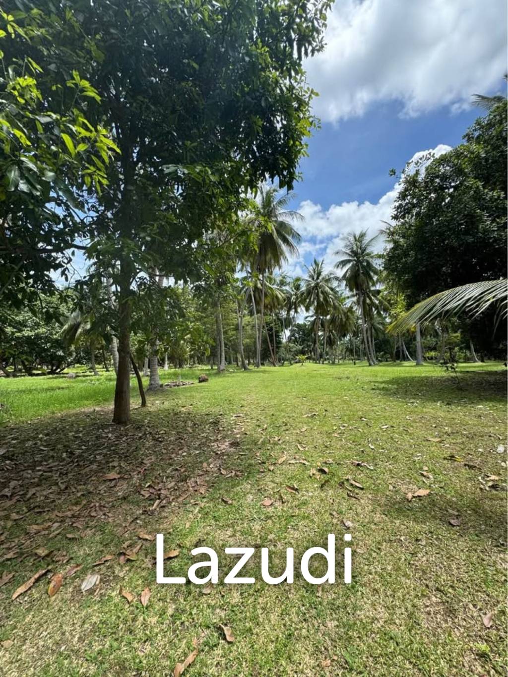 800-1600 SQM Beautiful Flat Land for Sale – Lush Green Area Between Ban Nai Suan  Bantai, Koh Phangan