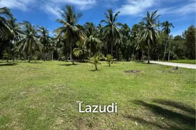 800-1600 SQM Beautiful Flat Land for Sale – Lush Green Area Between Ban Nai Suan  Bantai, Koh Phangan