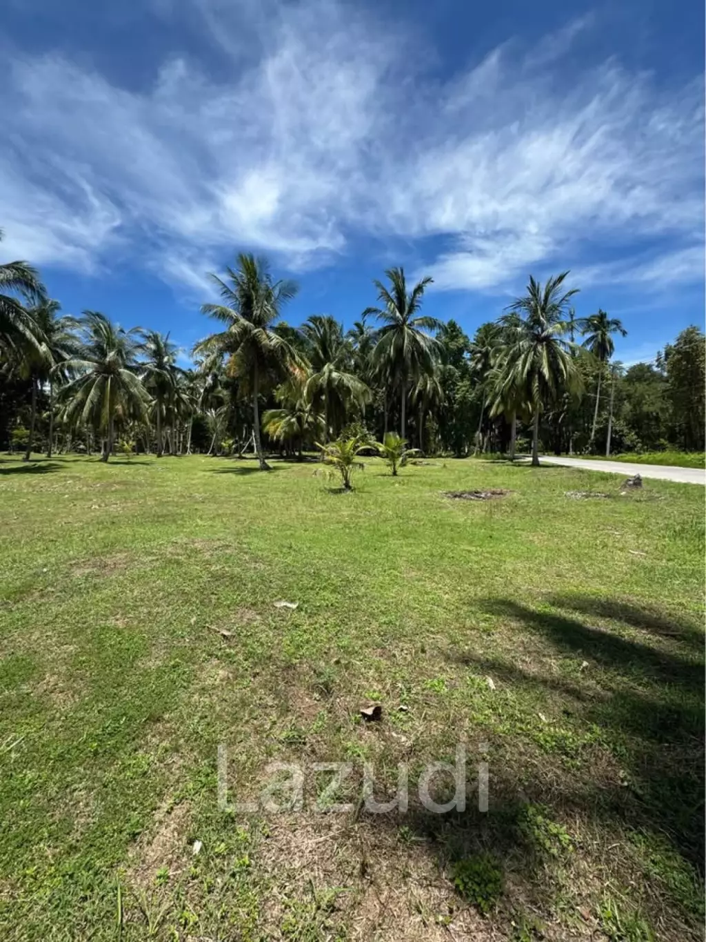 800-1600 SQM Beautiful Flat Land for Sale – Lush Green Area Between Ban Nai Suan  Bantai, Koh Phangan