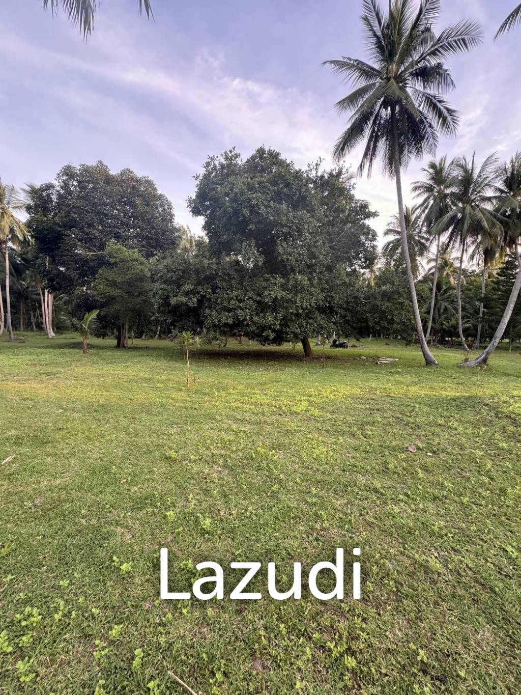 800-1600 SQM Beautiful Flat Land for Sale – Lush Green Area Between Ban Nai Suan  Bantai, Koh Phangan