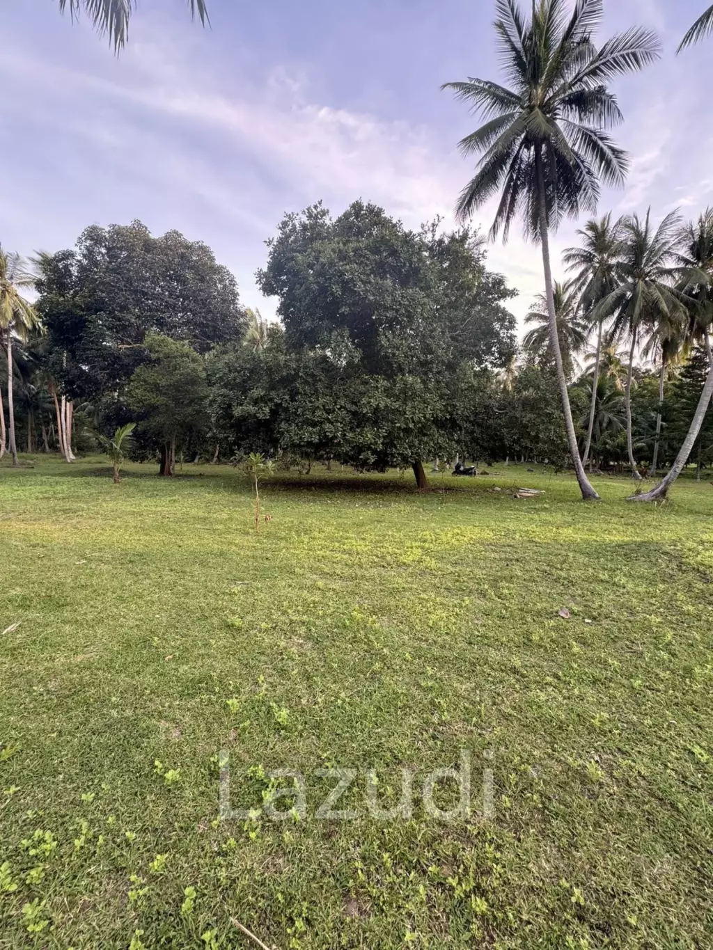800-1600 SQM Beautiful Flat Land for Sale – Lush Green Area Between Ban Nai Suan  Bantai, Koh Phangan