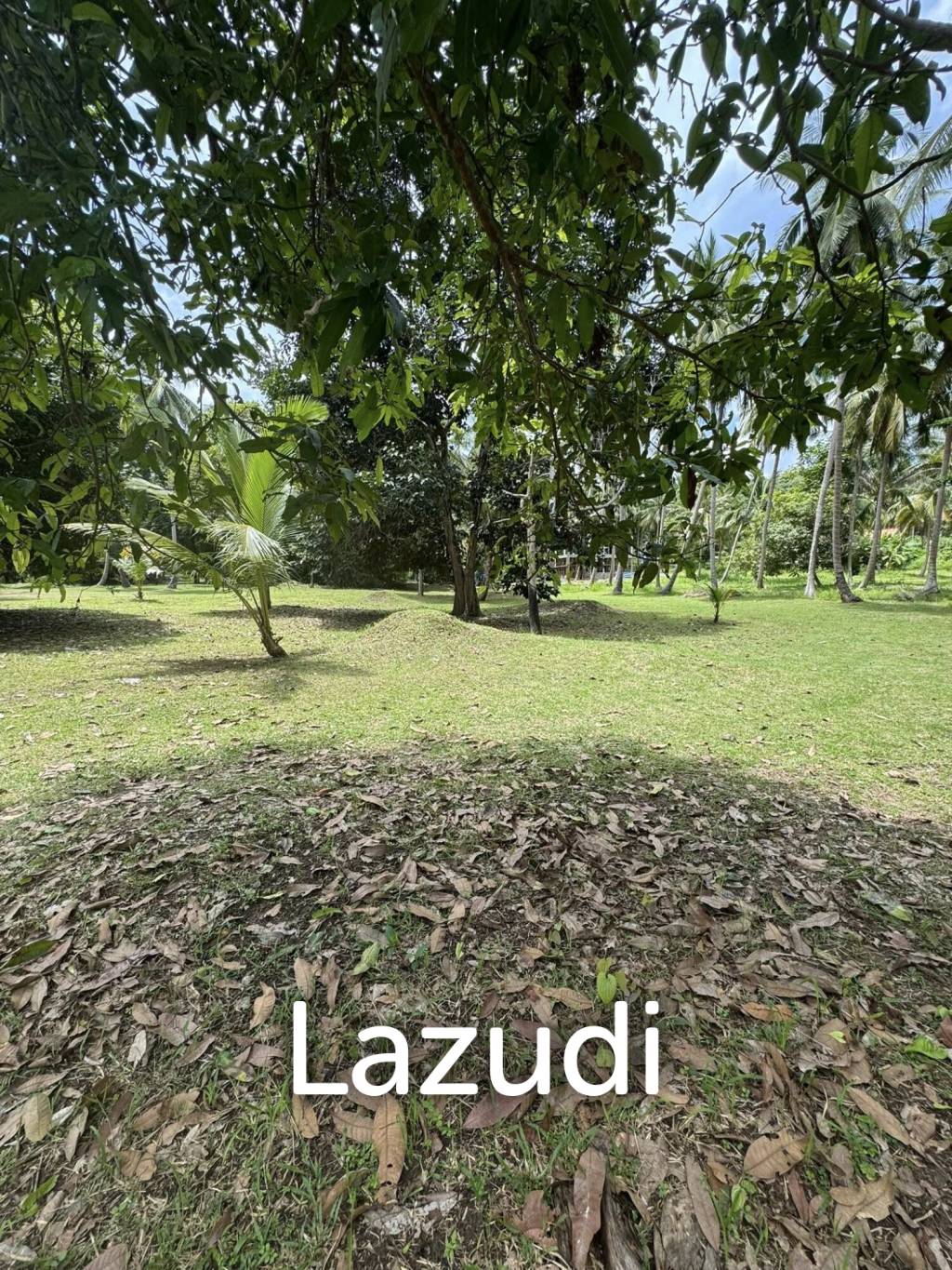 800-1600 SQM Beautiful Flat Land for Sale – Lush Green Area Between Ban Nai Suan  Bantai, Koh Phangan