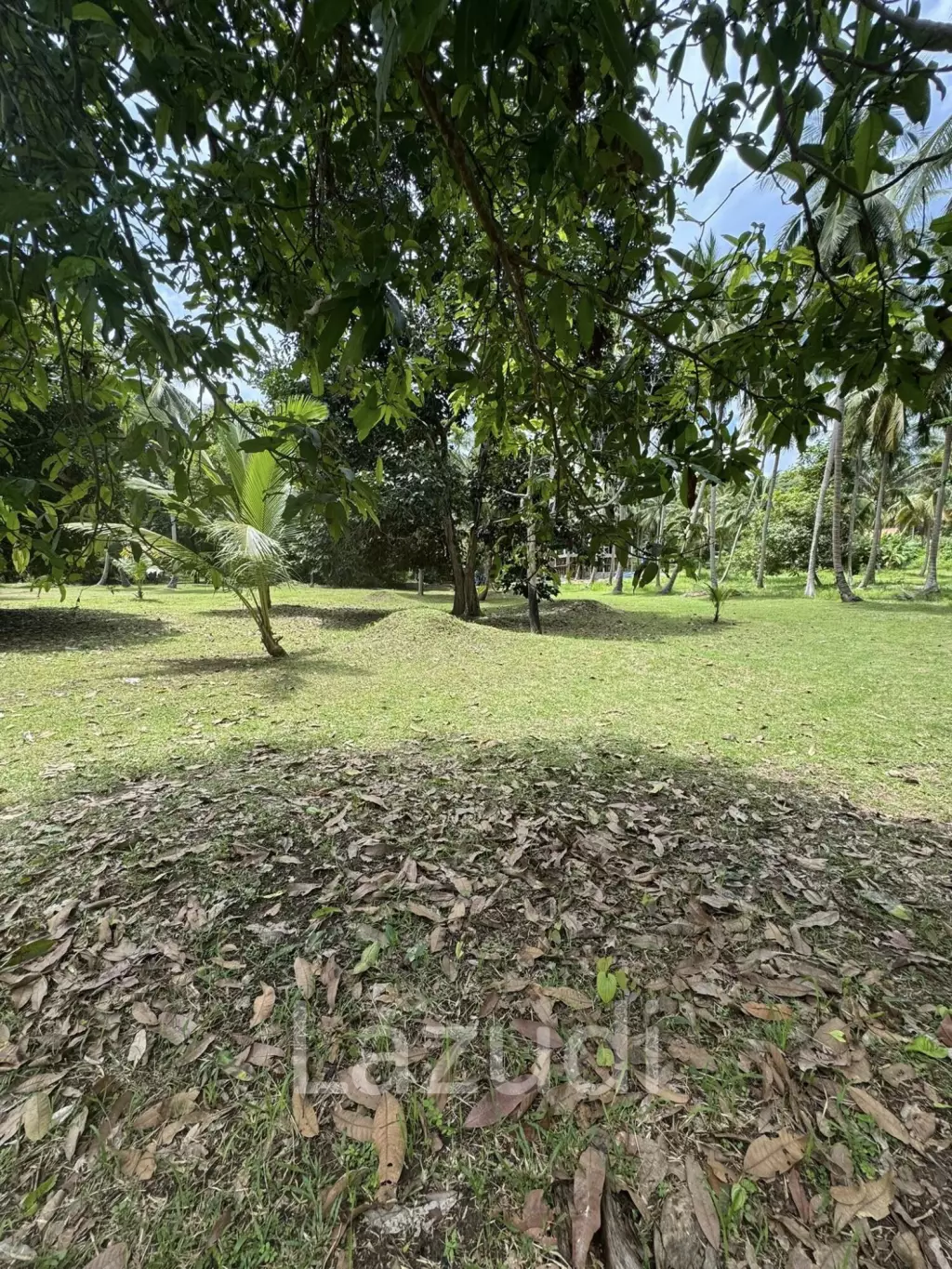 800-1600 SQM Beautiful Flat Land for Sale – Lush Green Area Between Ban Nai Suan  Bantai, Koh Phangan