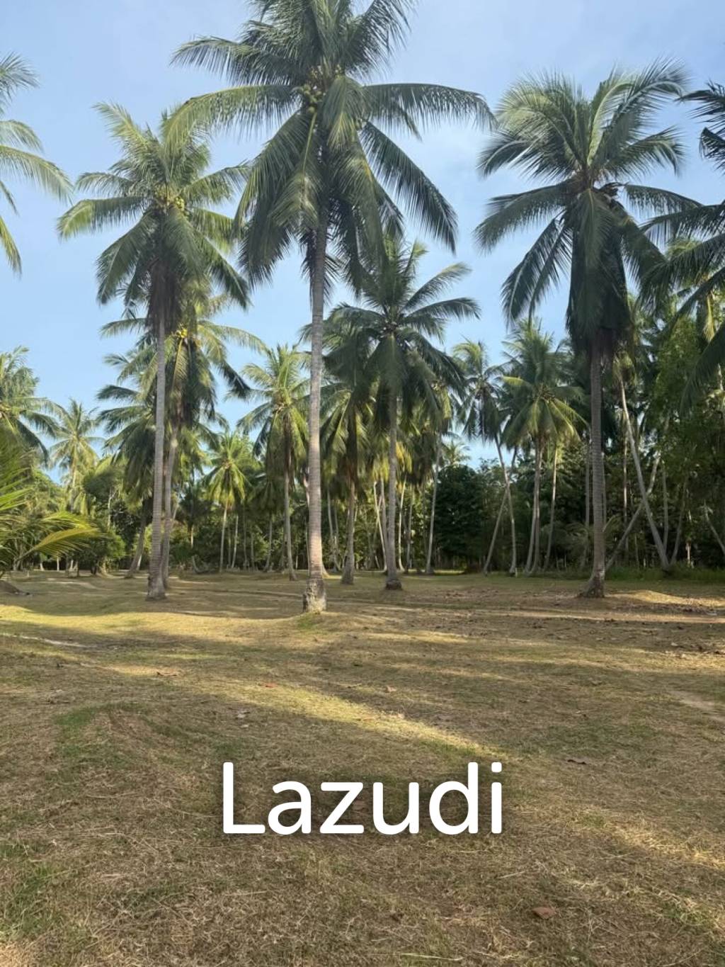 800-1600 SQM Beautiful Flat Land for Sale – Lush Green Area Between Ban Nai Suan  Bantai, Koh Phangan