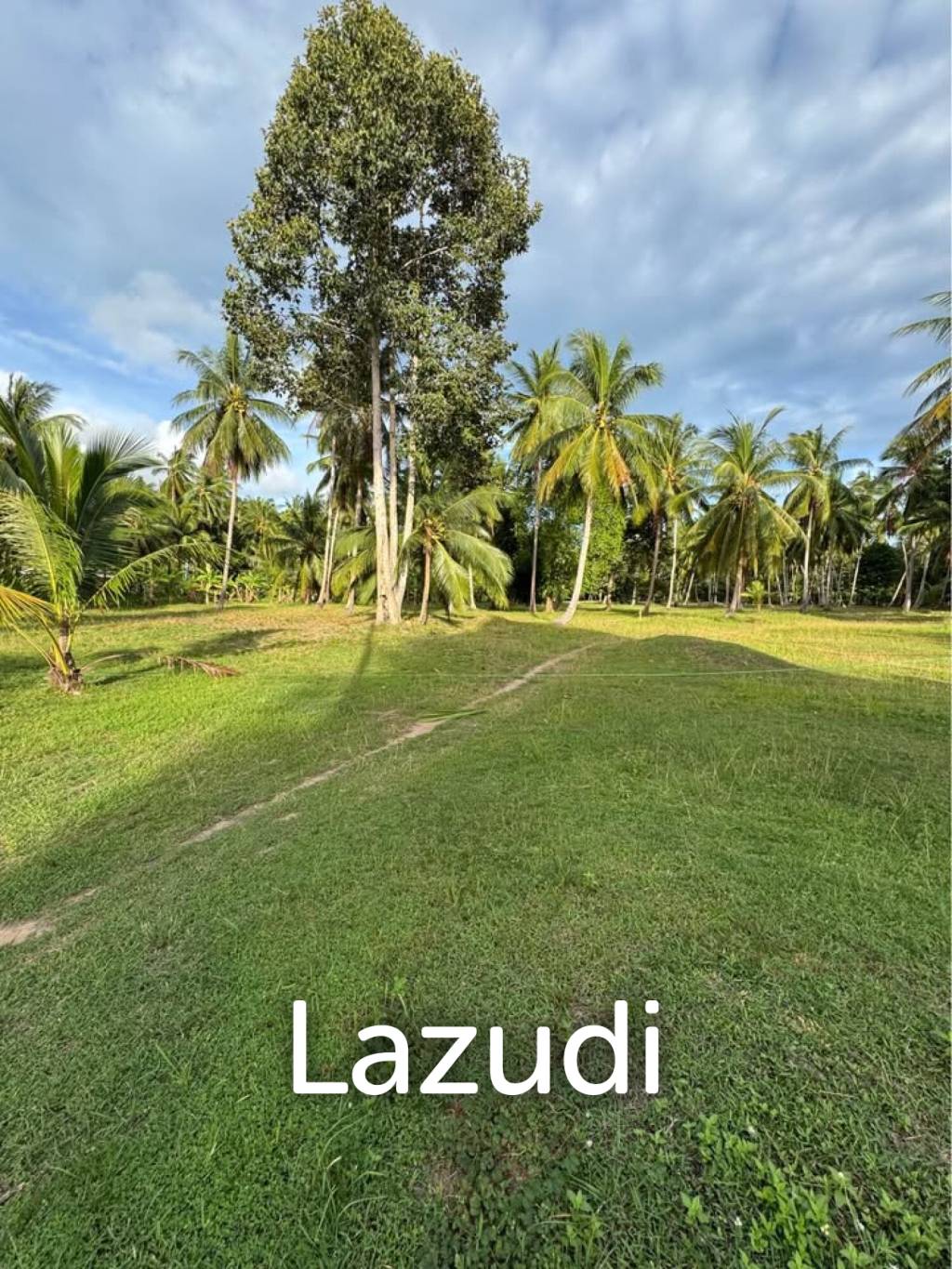 800-1600 SQM Beautiful Flat Land for Sale – Lush Green Area Between Ban Nai Suan  Bantai, Koh Phangan