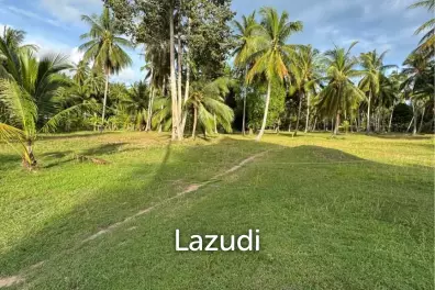 800-1600 SQM Beautiful Flat Land for Sale – Lush Green Area Between Ban Nai Suan  Bantai, Koh Phangan