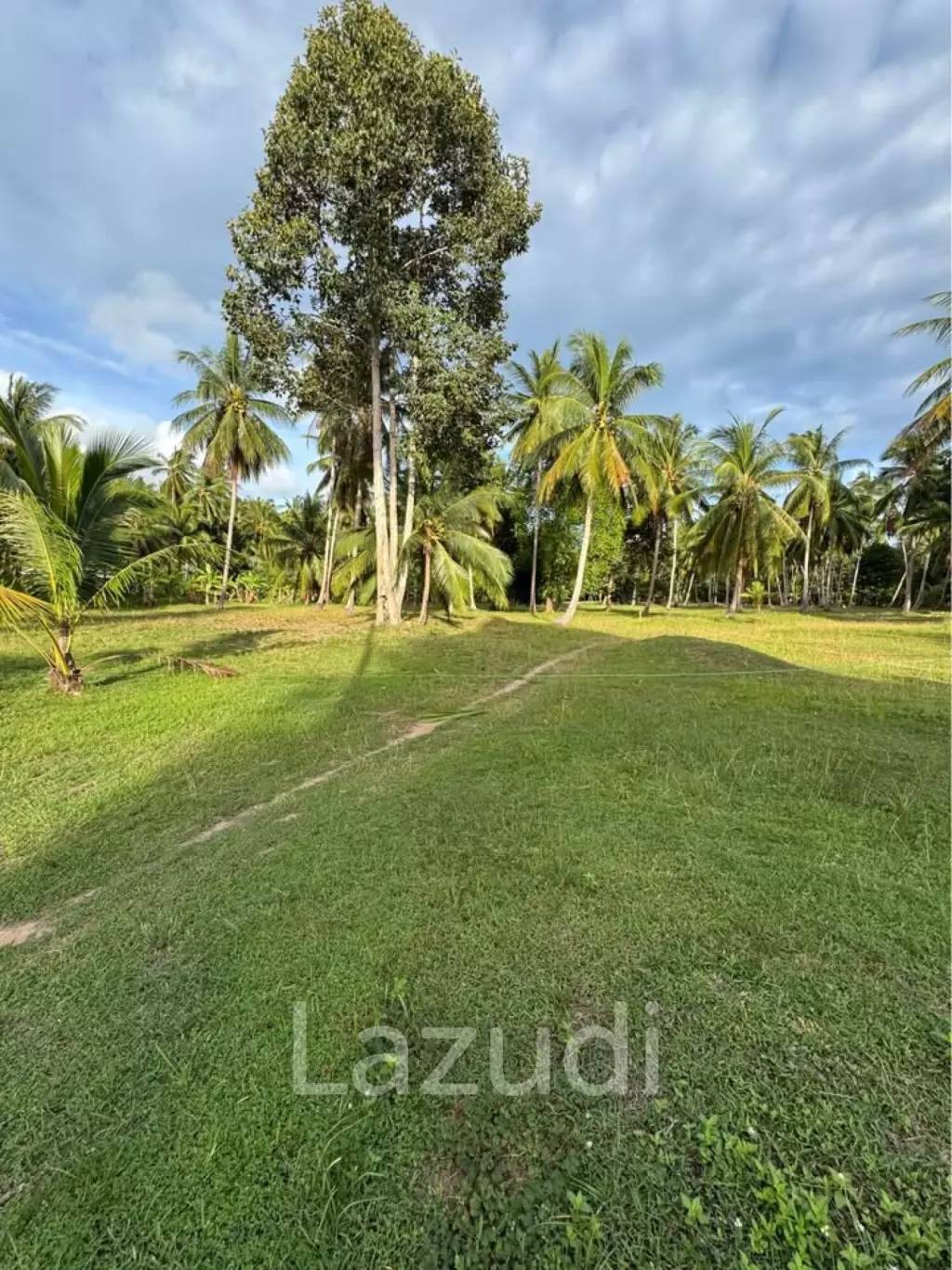 800-1600 SQM Beautiful Flat Land for Sale – Lush Green Area Between Ban Nai Suan  Bantai, Koh Phangan