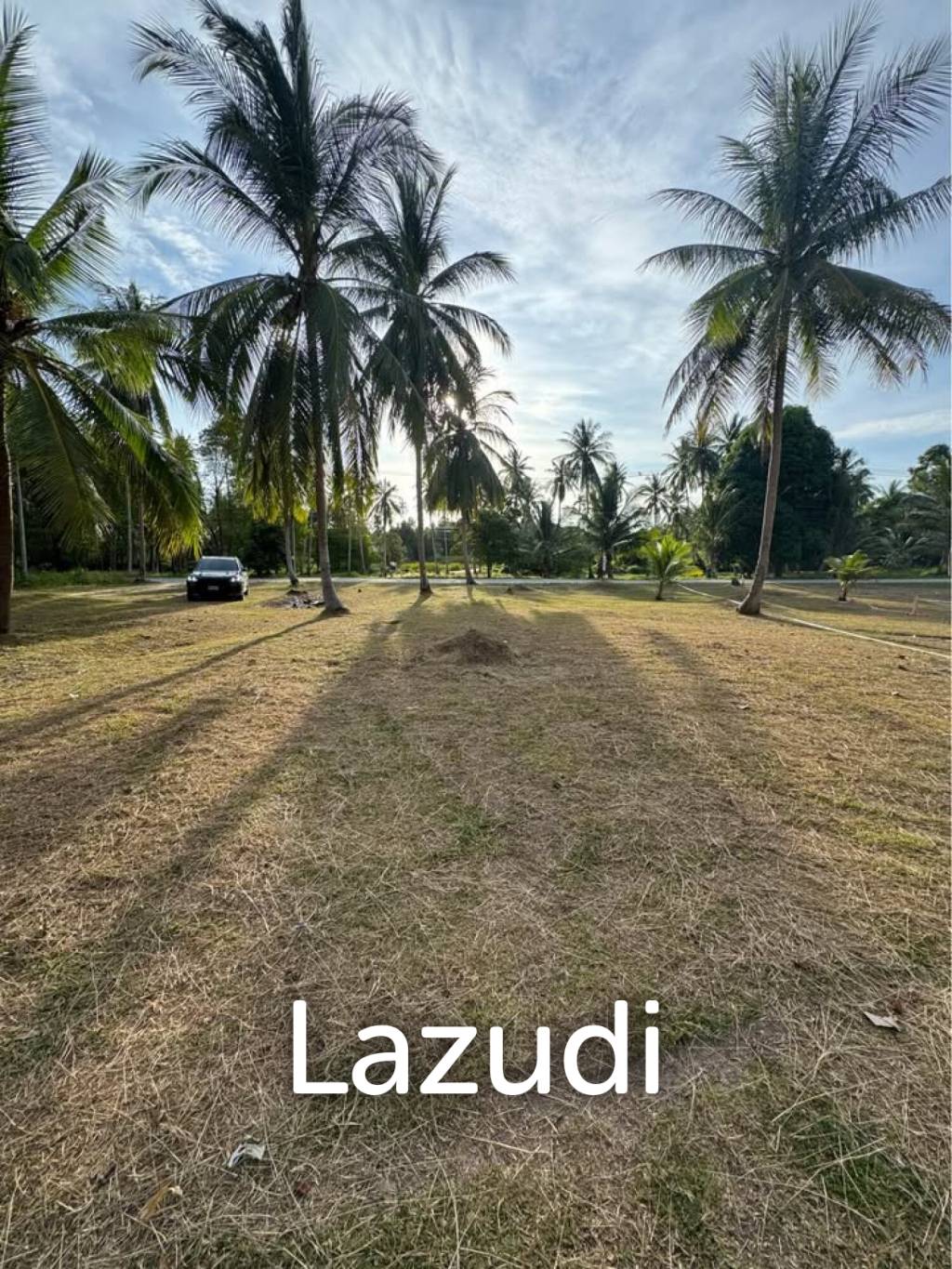 800-1600 SQM Beautiful Flat Land for Sale – Lush Green Area Between Ban Nai Suan  Bantai, Koh Phangan