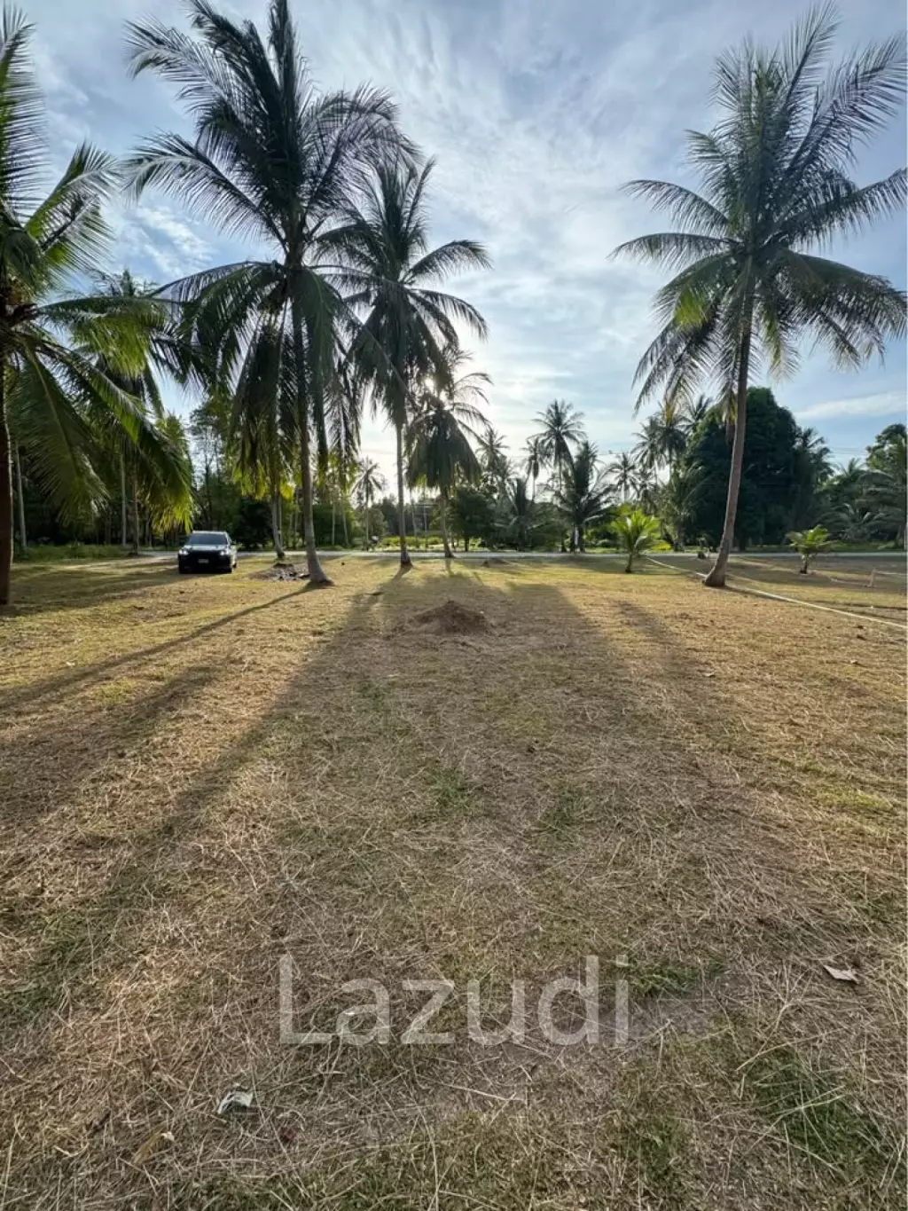 800-1600 SQM Beautiful Flat Land for Sale – Lush Green Area Between Ban Nai Suan  Bantai, Koh Phangan