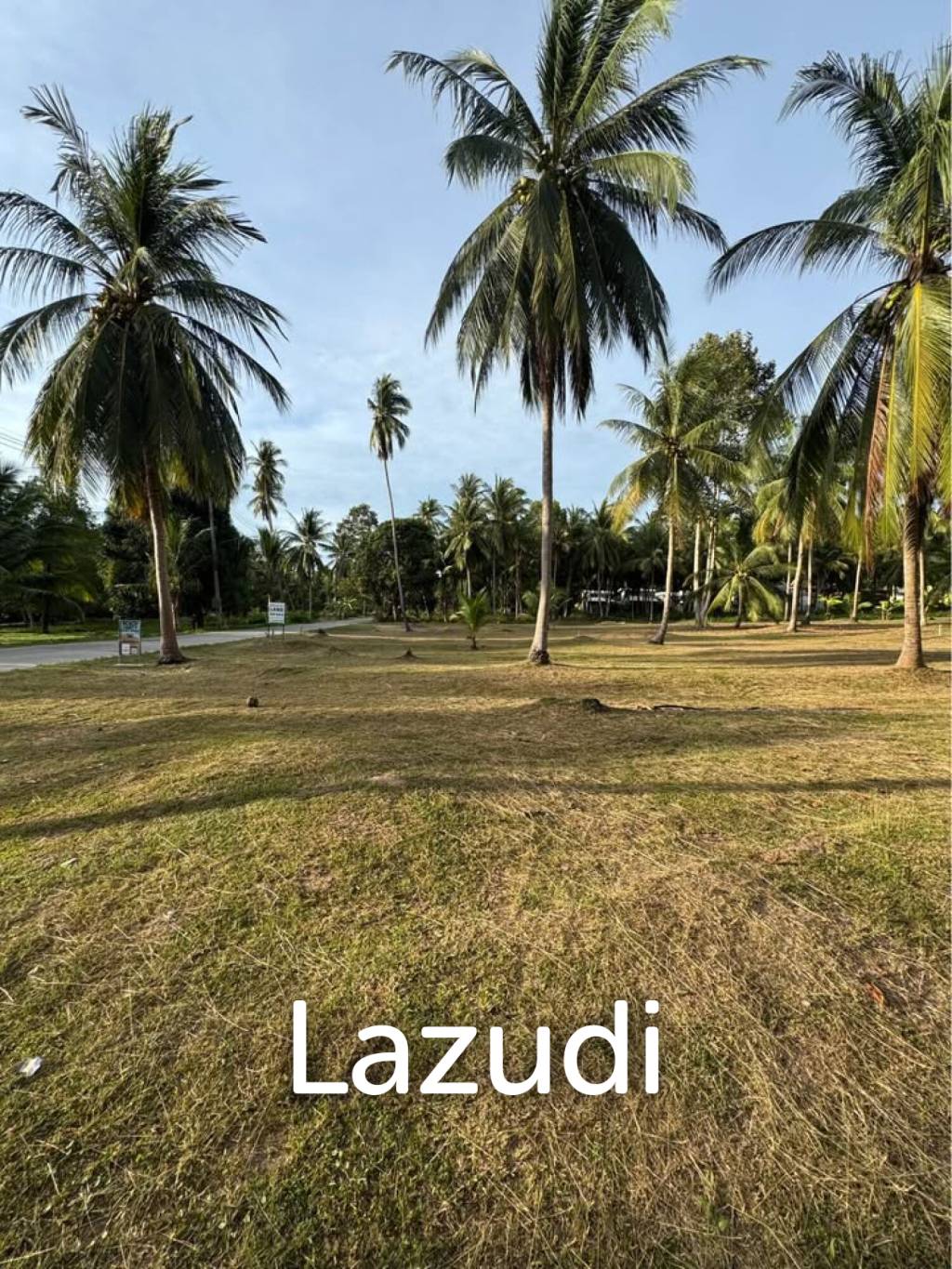 800-1600 SQM Beautiful Flat Land for Sale – Lush Green Area Between Ban Nai Suan  Bantai, Koh Phangan