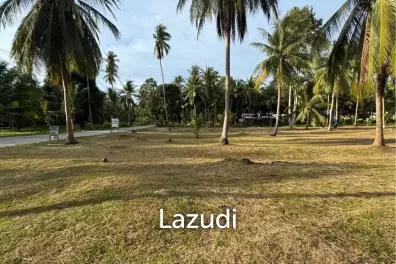 800-1600 SQM Beautiful Flat Land for Sale – Lush Green Area Between Ban Nai Suan  Bantai, Koh Phangan