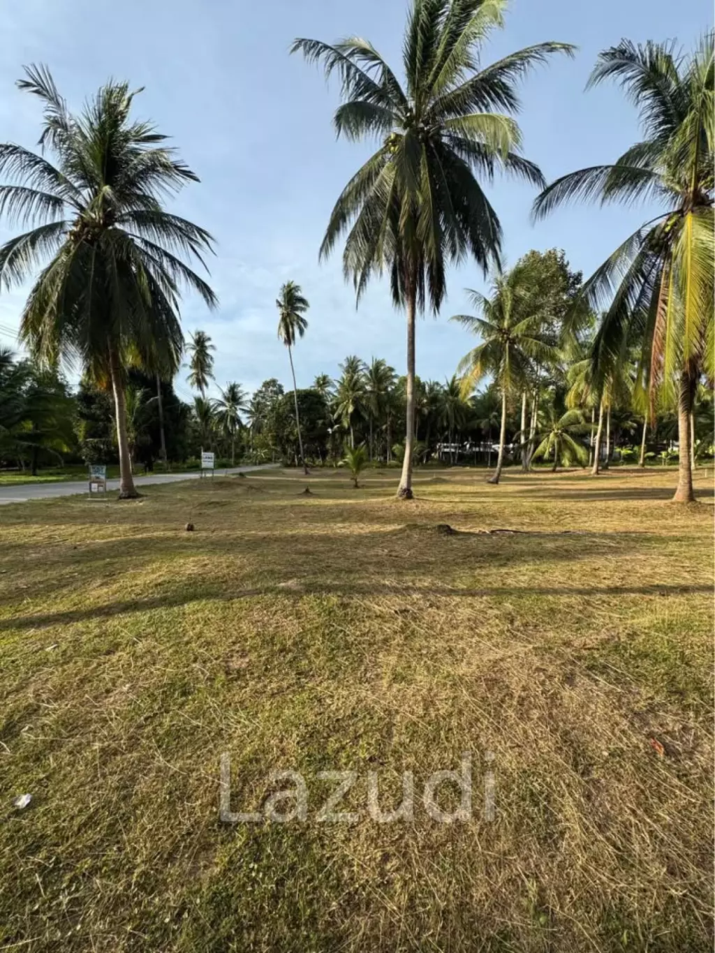 800-1600 SQM Beautiful Flat Land for Sale – Lush Green Area Between Ban Nai Suan  Bantai, Koh Phangan