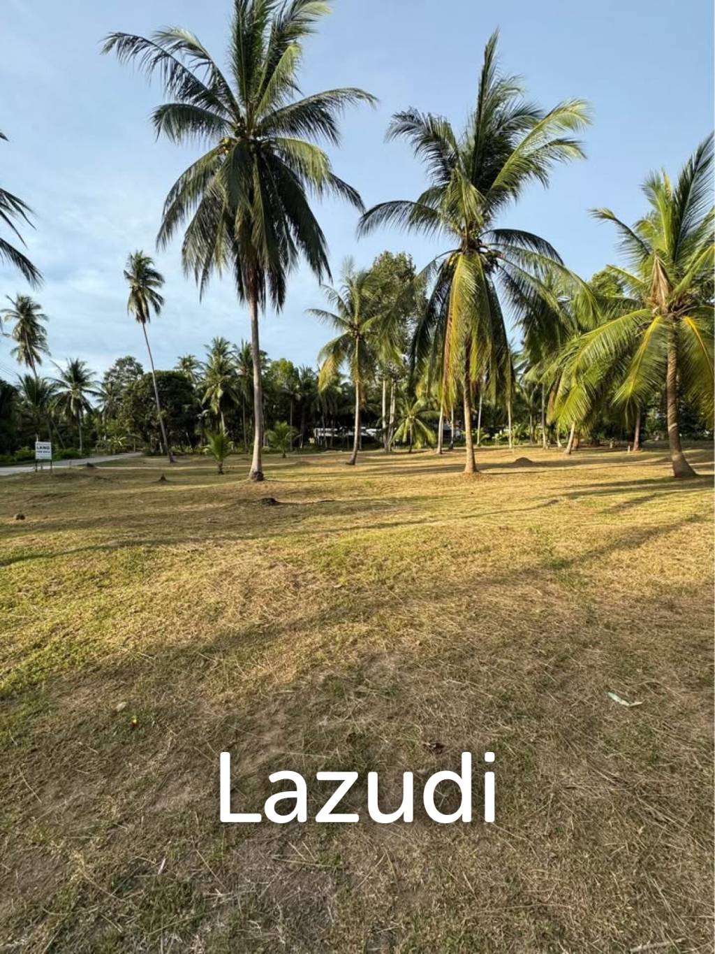 800-1600 SQM Beautiful Flat Land for Sale – Lush Green Area Between Ban Nai Suan  Bantai, Koh Phangan