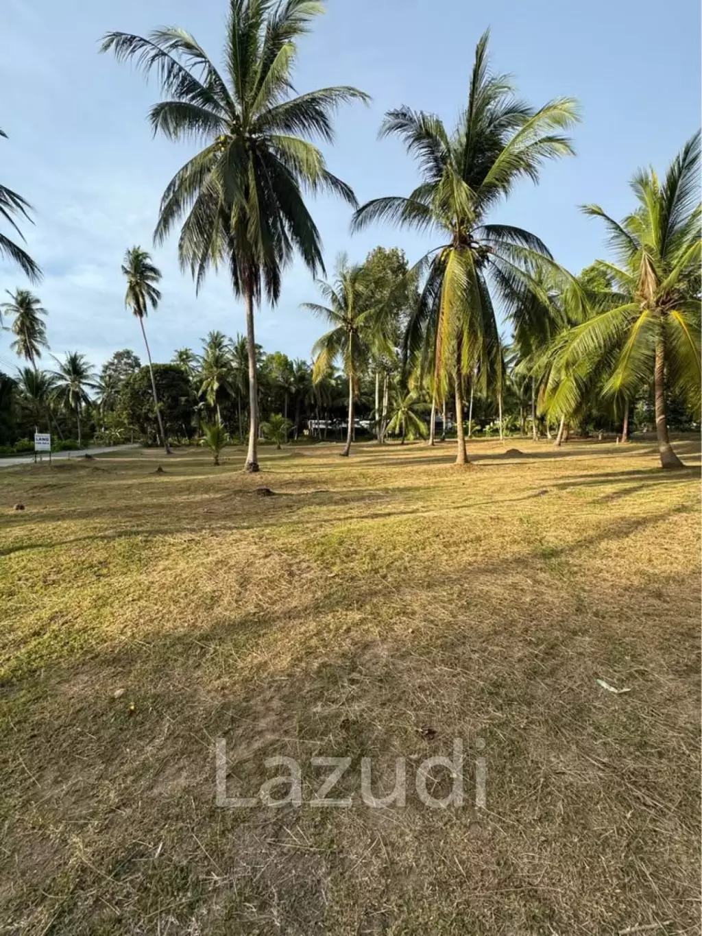 800-1600 SQM Beautiful Flat Land for Sale – Lush Green Area Between Ban Nai Suan  Bantai, Koh Phangan